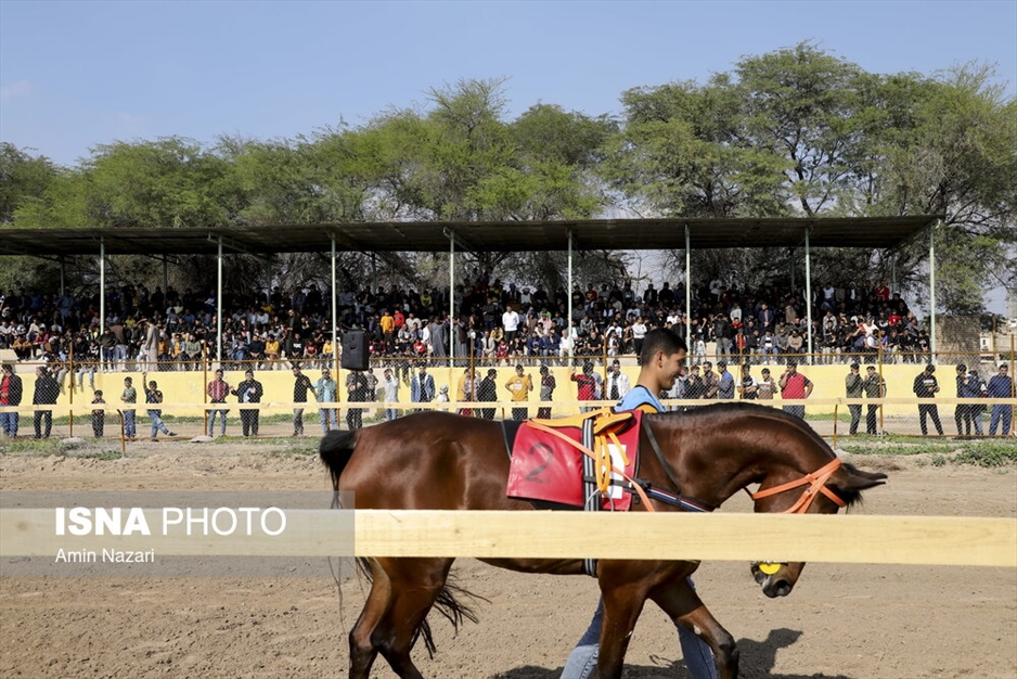 هفته اول مسابقات کورس اسبدوانی کشور در اهواز