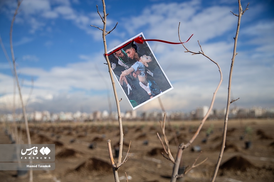 آیین کاشت ۲۴۰۰۰ نهال به یاد شهدا