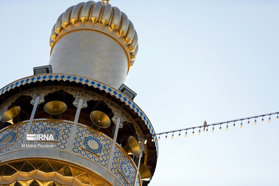 حرم امام علی(علیه‌السلام) در آستانه اعیاد شعبانیه