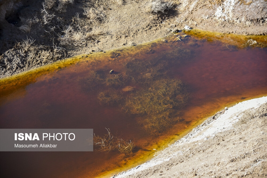 سایت دفع پسماند حلقه دره