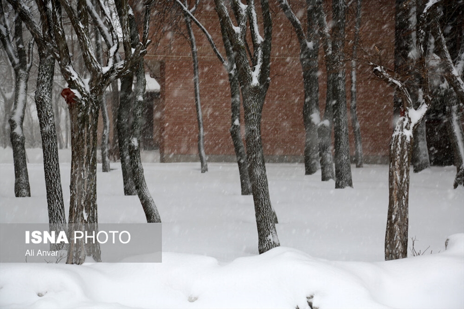 بارش سنگین برف در اردبیل