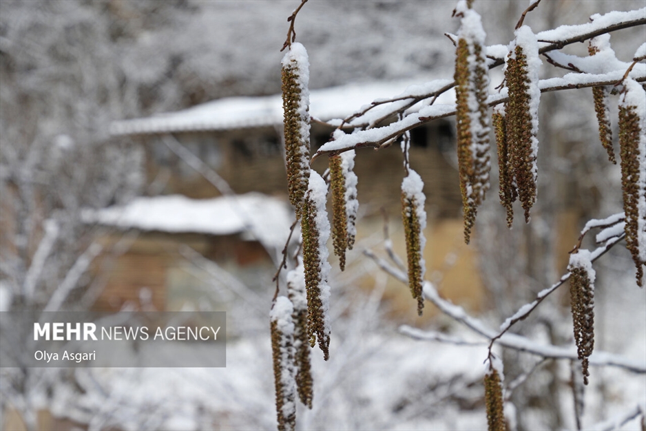 زمستان برفی روستای تاریخی و گردشگری زیارت گرگان