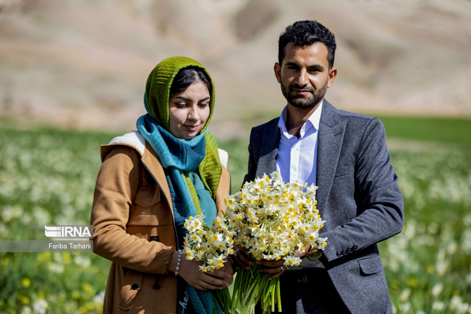 نذر گل نرگس