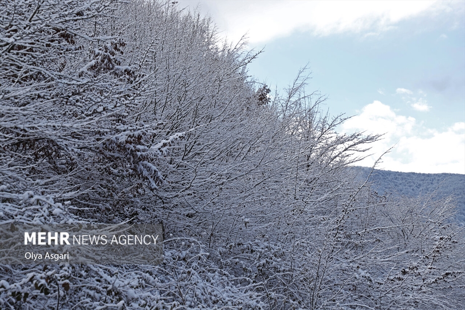 زمستان برفی روستای تاریخی و گردشگری زیارت گرگان
