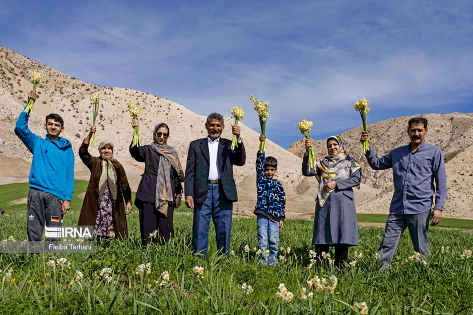 نذر گل نرگس