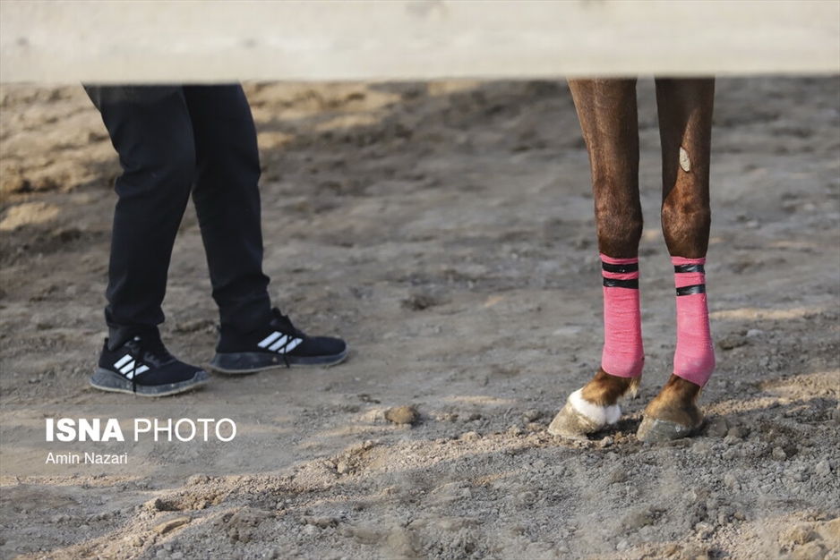 هفته اول مسابقات کورس اسبدوانی کشور در اهواز