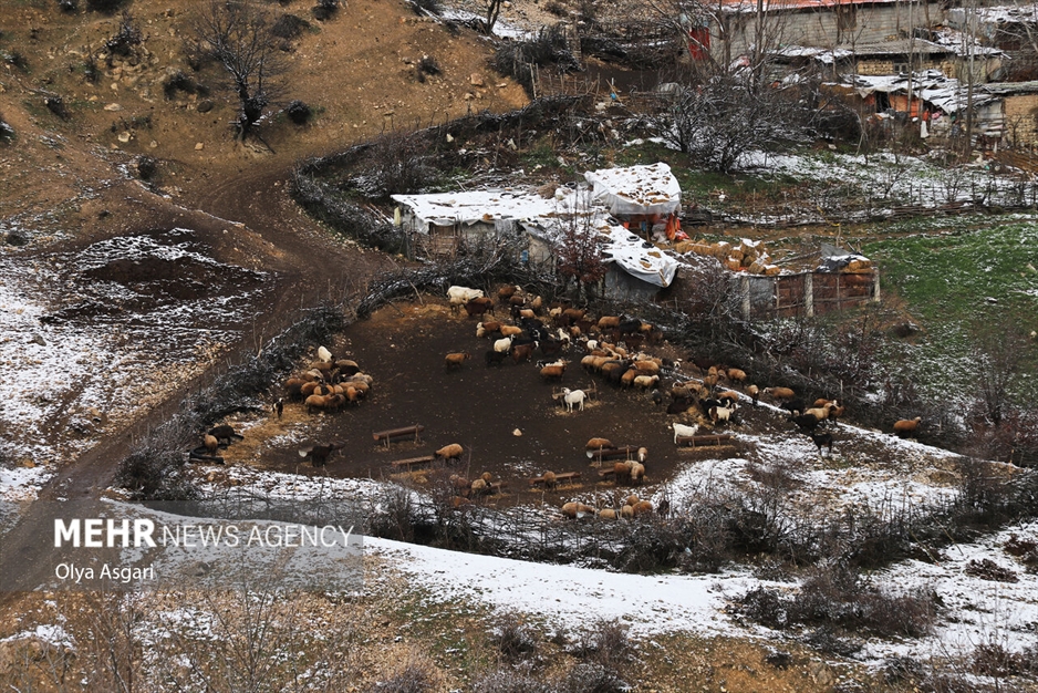 زمستان برفی روستای تاریخی و گردشگری زیارت گرگان