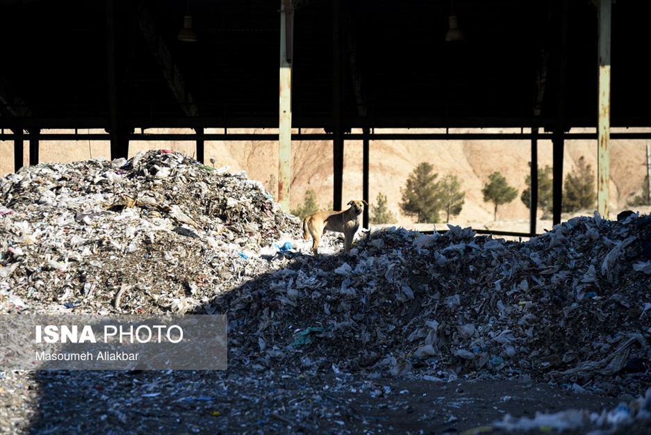 سایت دفع پسماند حلقه دره