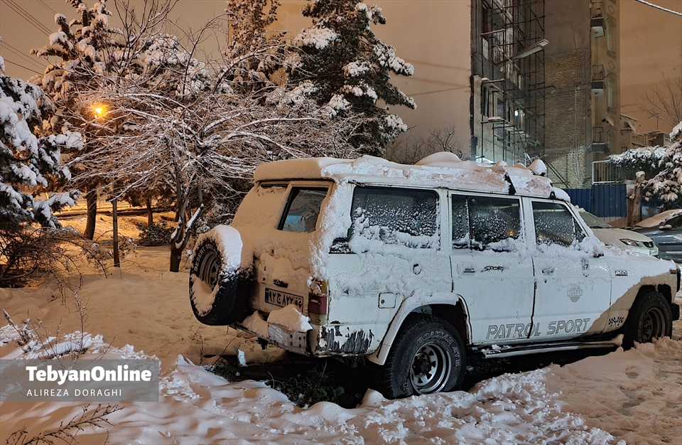 تصاویری از بارش برف جمعه در تهران 