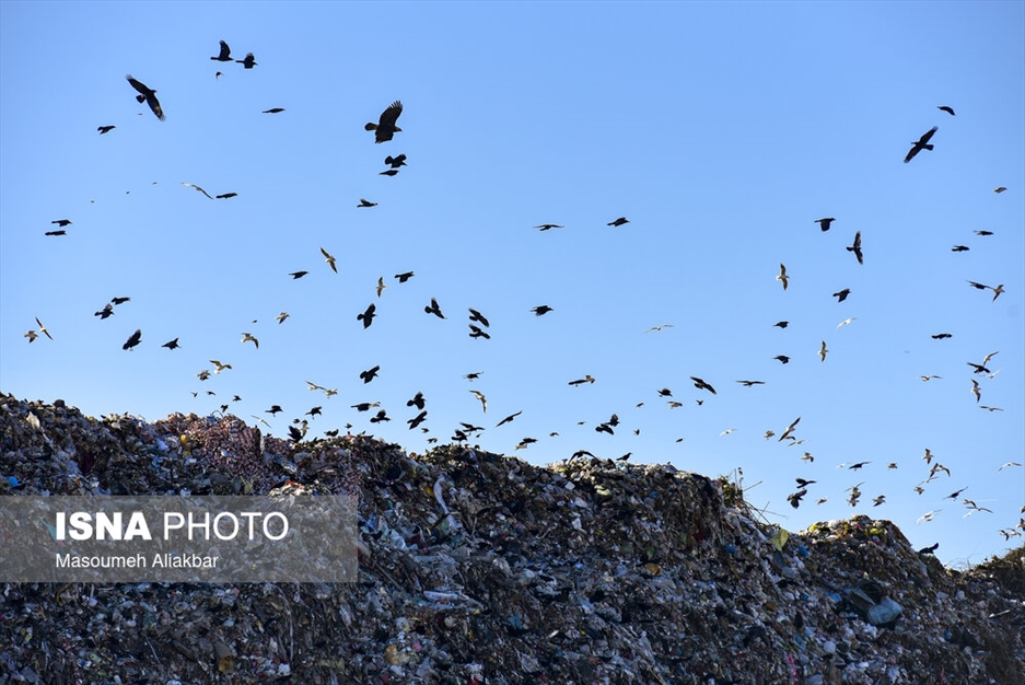 سایت دفع پسماند حلقه دره