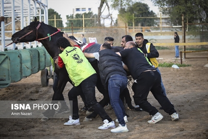 هفته اول مسابقات کورس اسبدوانی کشور در اهواز