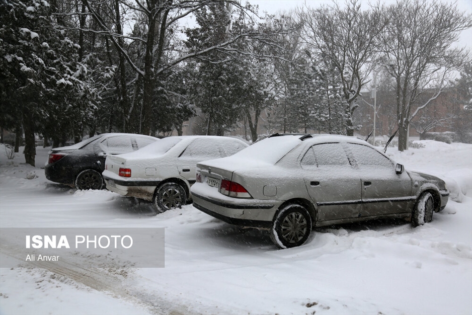 بارش سنگین برف در اردبیل