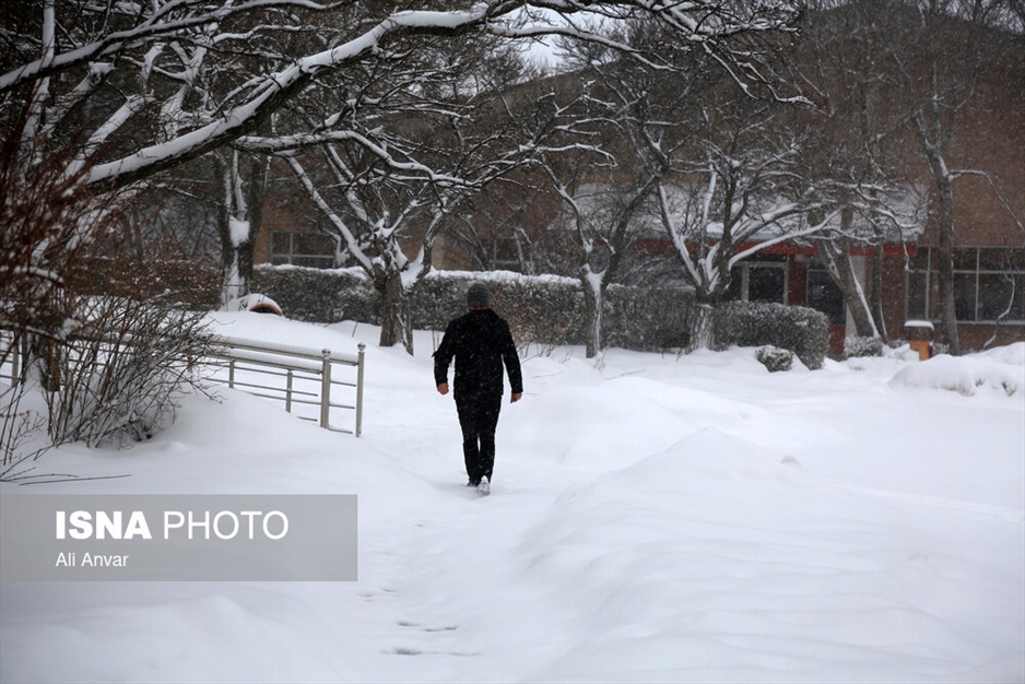 بارش سنگین برف در اردبیل