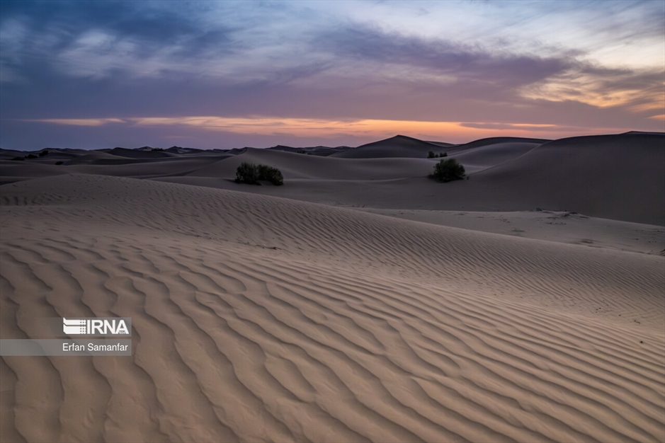 پناهگاه حیات وحش نایبندان