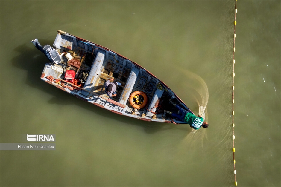 صید ماهیان استخوانی در خزر