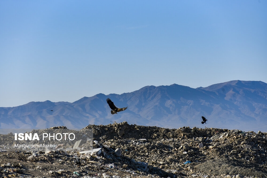 سایت دفع پسماند حلقه دره