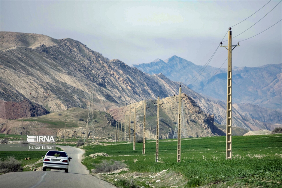 نذر گل نرگس