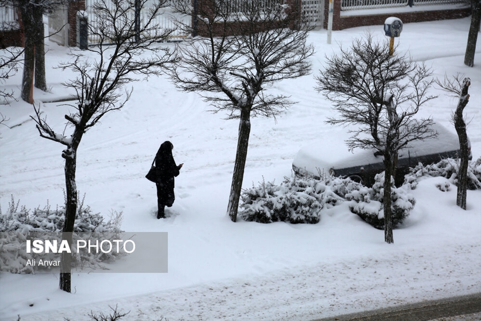 بارش سنگین برف در اردبیل