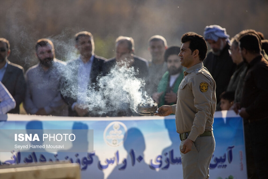 رهاسازی ۱۰ راس گوزن زرد ایرانی در پارک ملی دز