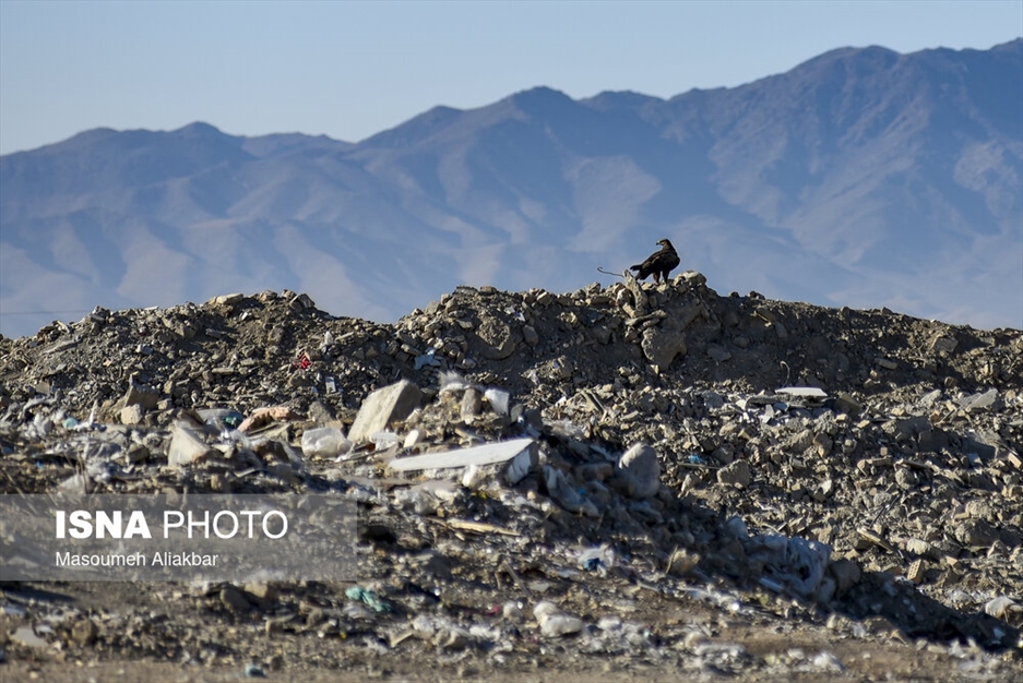 سایت دفع پسماند حلقه دره