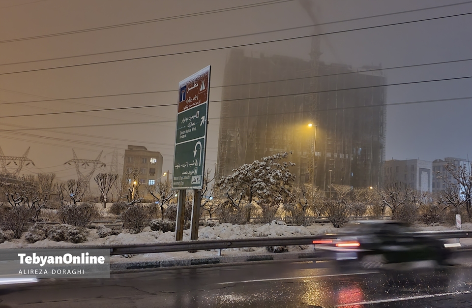 تصاویری از بارش برف جمعه در تهران 