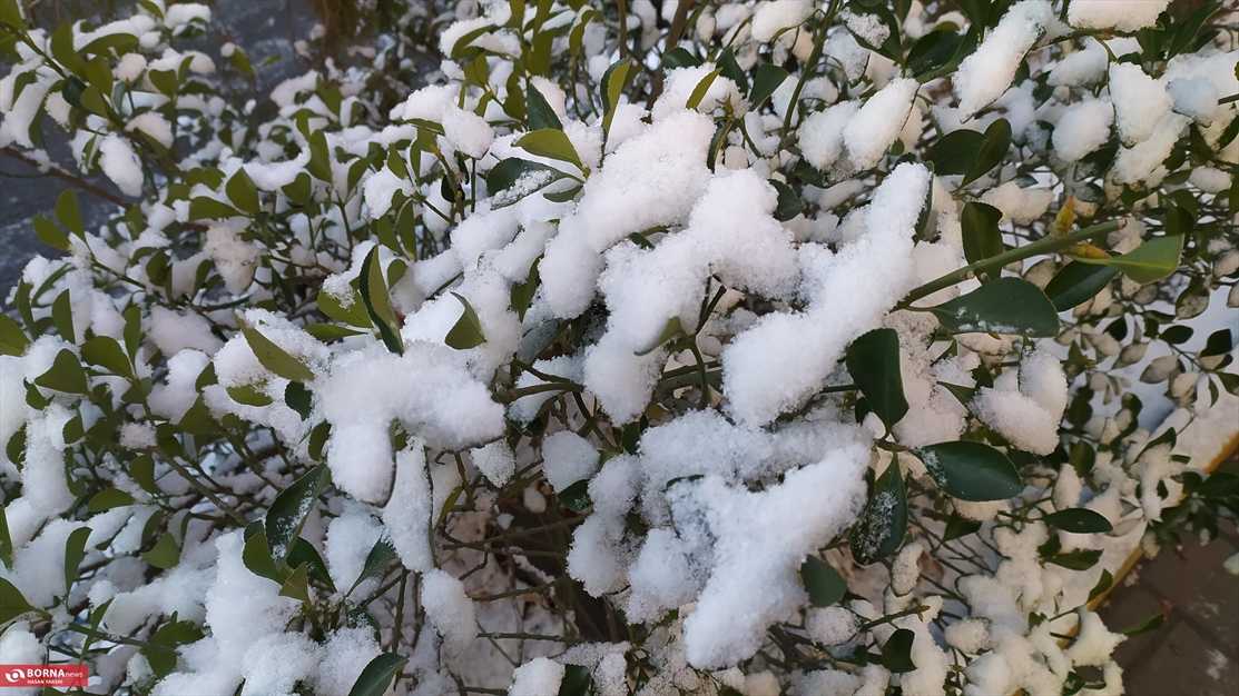 اولین برف زمستانی در همدان