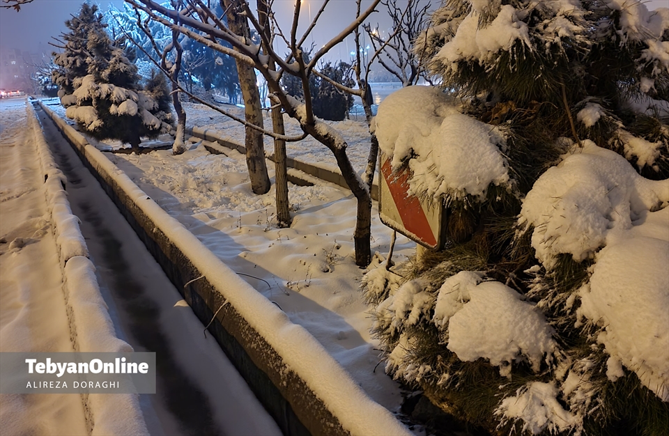 تصاویری از بارش برف جمعه در تهران 