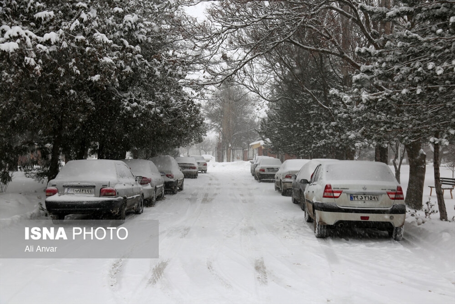 بارش سنگین برف در اردبیل