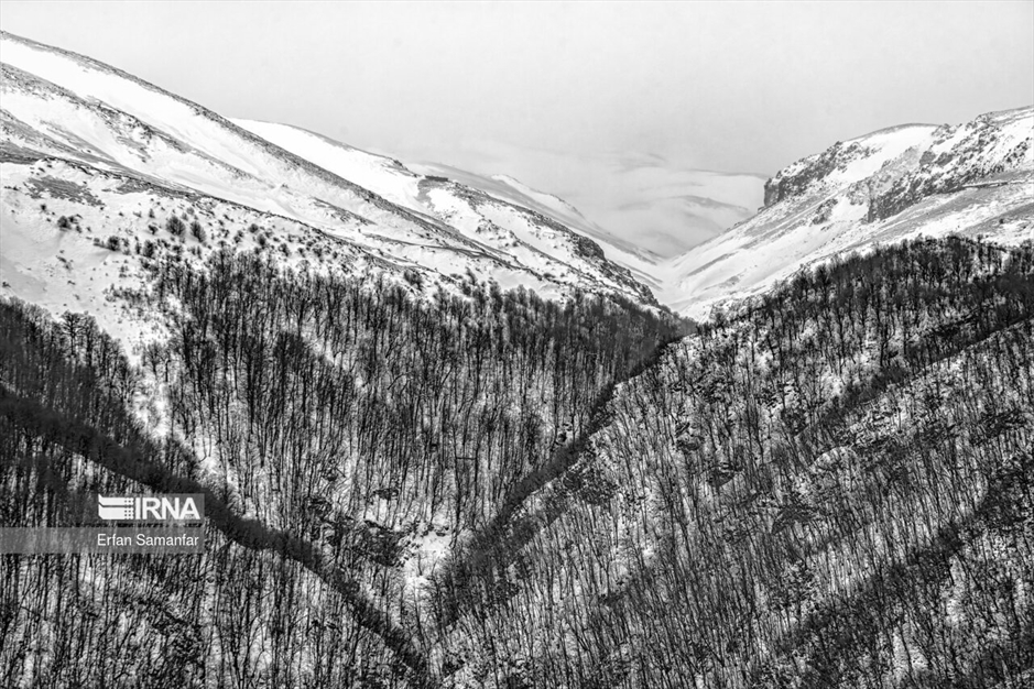 به سپیدی برف