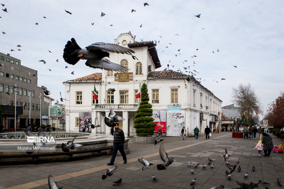 کبوترهای میدان شهرداری رشت