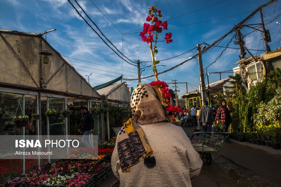 بازار گل محلاتی در آستانه سال نو