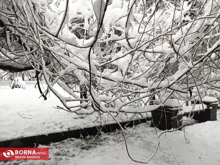نخستین برف زمستانی رشت