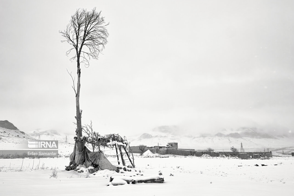 به سپیدی برف