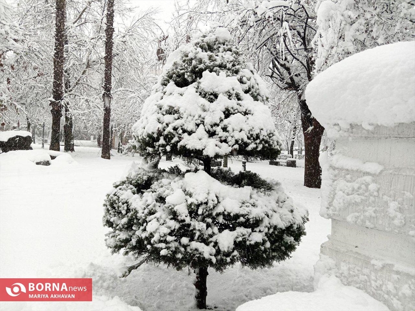 نخستین برف زمستانی رشت