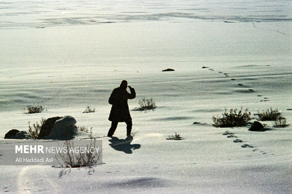 خاطرات شیرین روزهای برفی