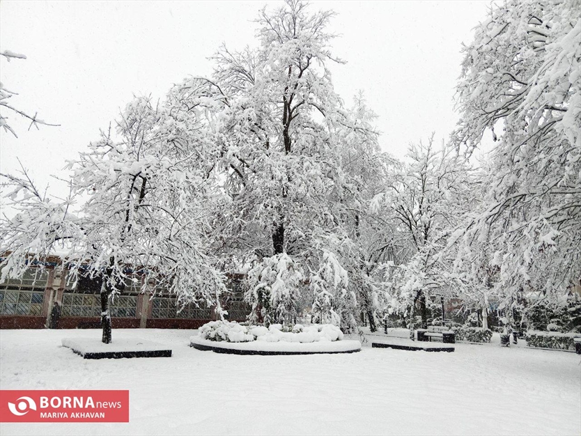 نخستین برف زمستانی رشت