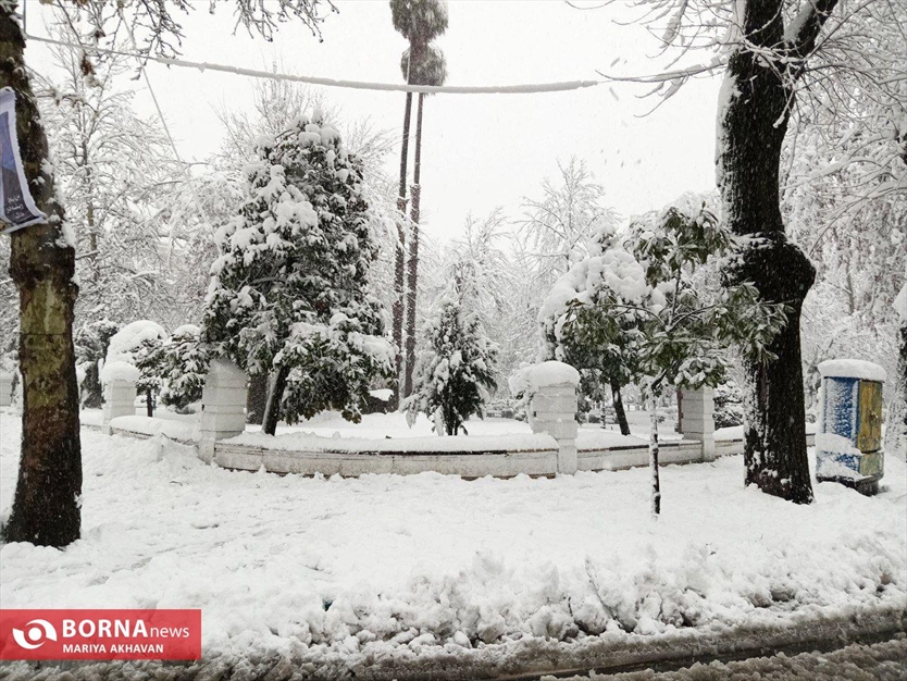 نخستین برف زمستانی رشت