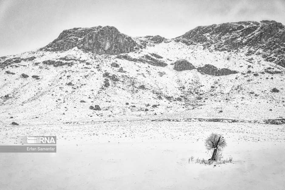 به سپیدی برف