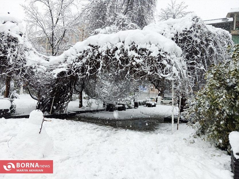 نخستین برف زمستانی رشت