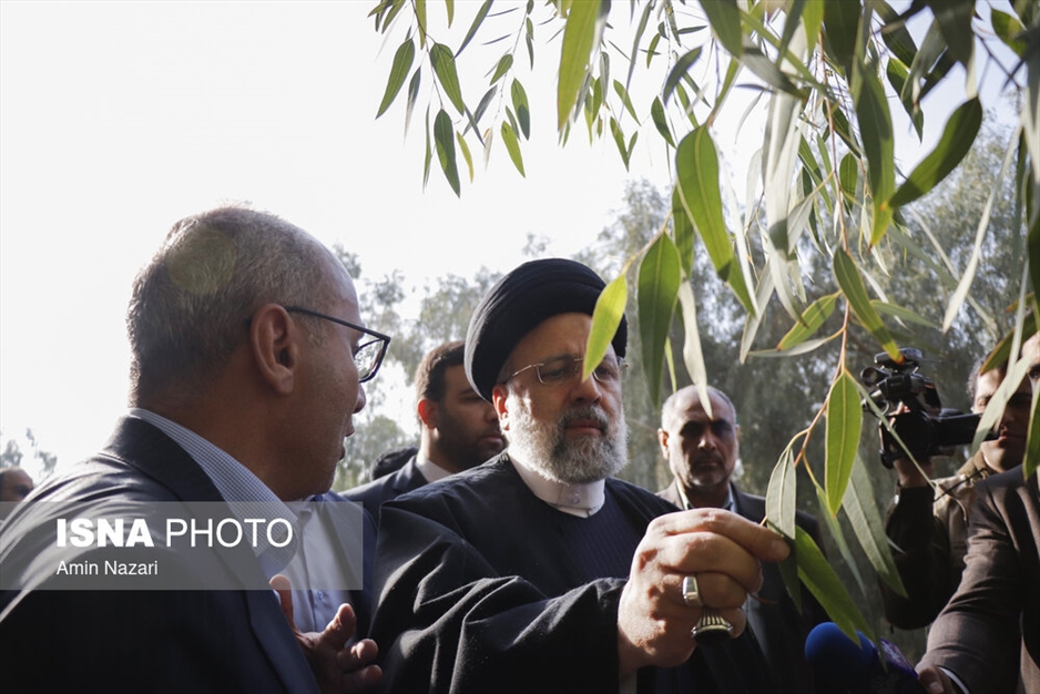 افتتاح پروژه تخته فشرده پاک چوب با حضور رئیس‌جمهور