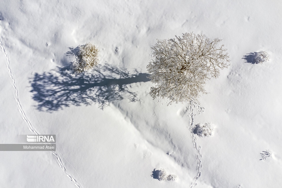 پرسه در برف- گلستان