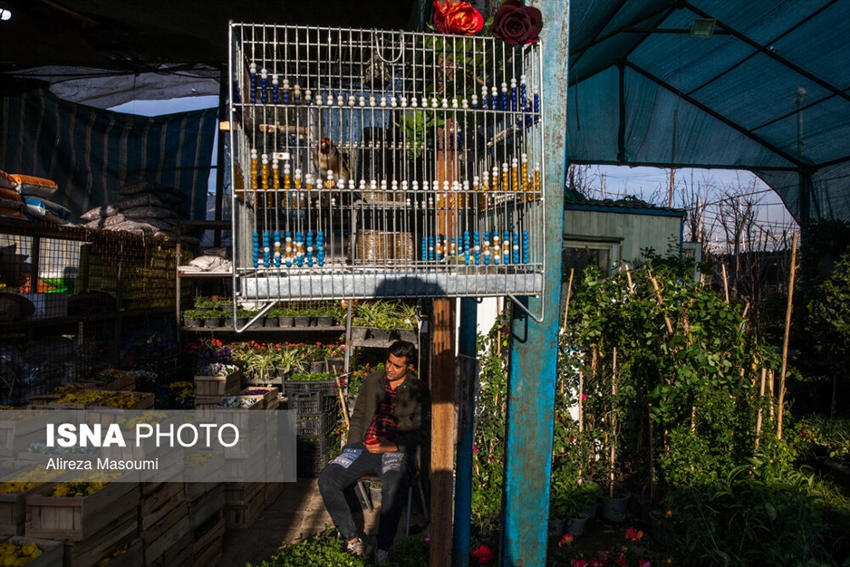 بازار گل محلاتی در آستانه سال نو