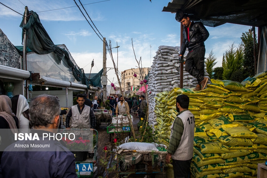 بازار گل محلاتی در آستانه سال نو
