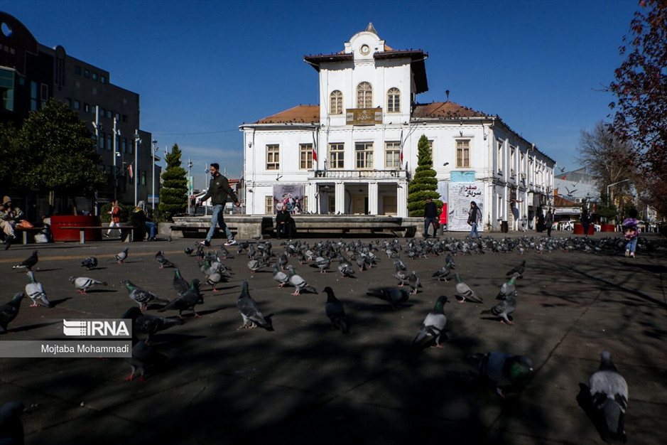 کبوترهای میدان شهرداری رشت