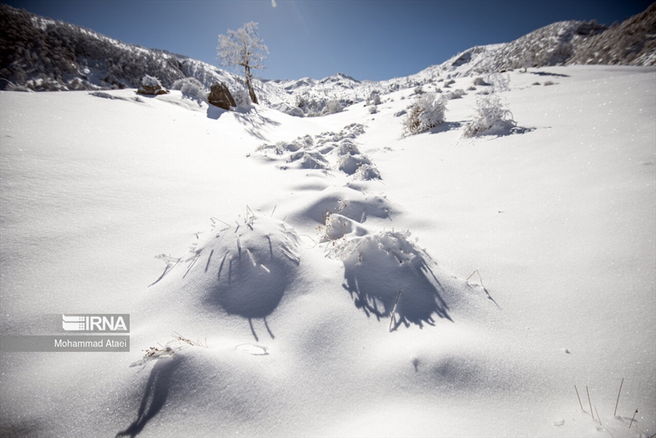 پرسه در برف- گلستان