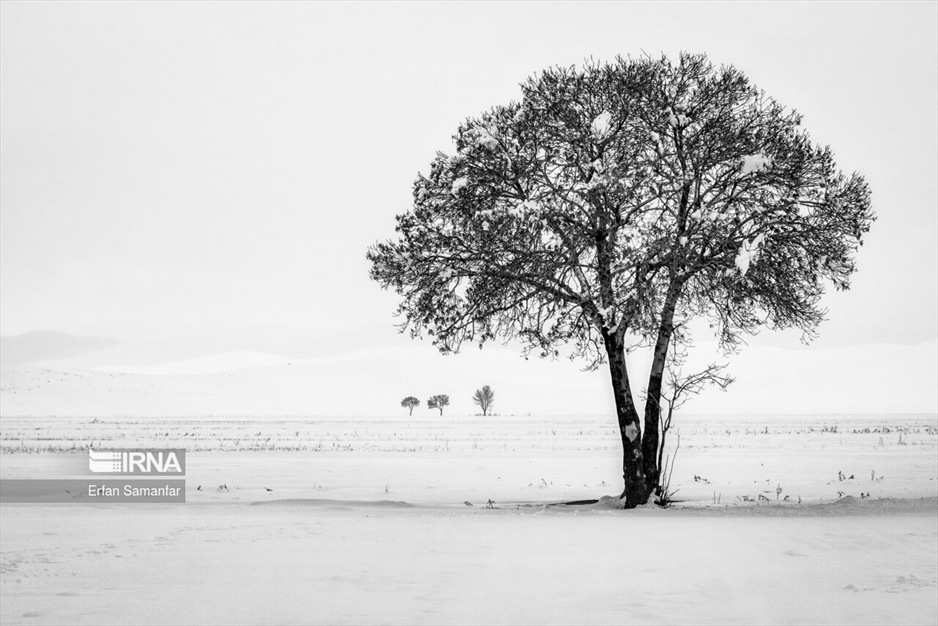 به سپیدی برف