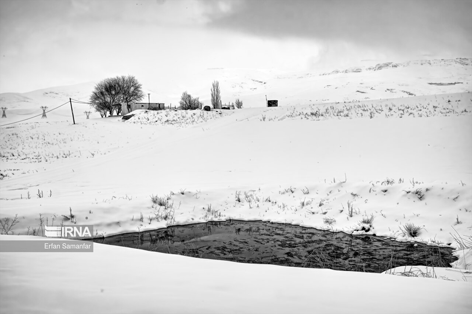 به سپیدی برف