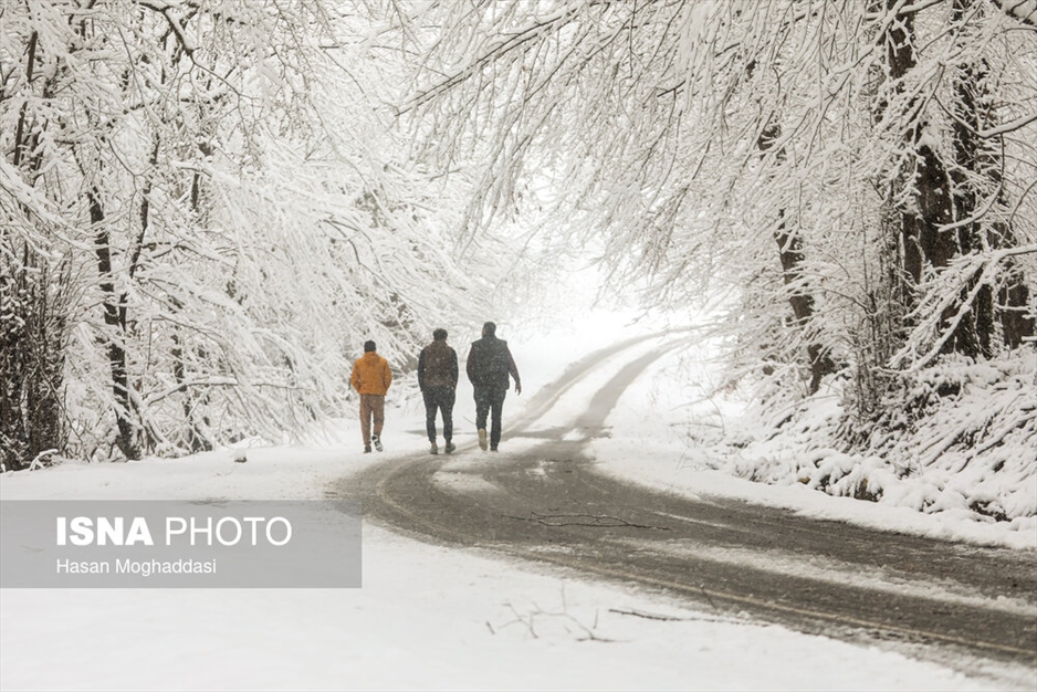 بارش برف سوادکوه مازندران