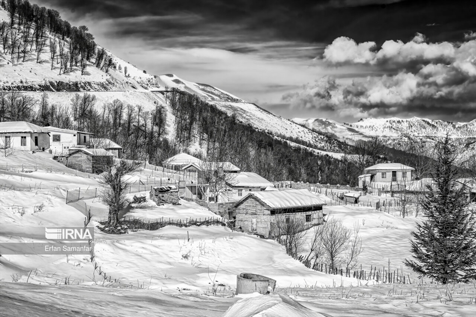 به سپیدی برف