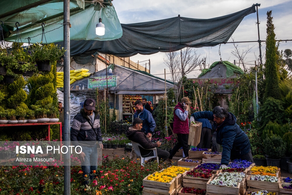 بازار گل محلاتی در آستانه سال نو